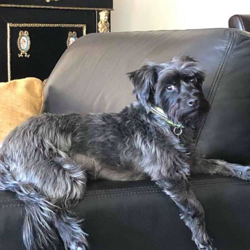 Meet your Posher, John